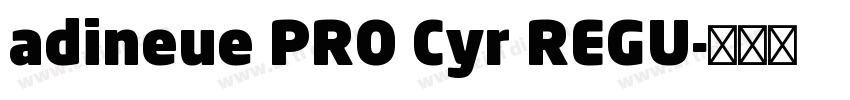 adineue PRO Cyr REGU字体转换